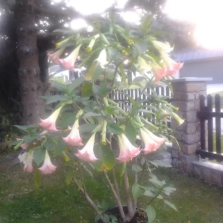 Feriehus Werner Neustadt (Vogtlandkreis)