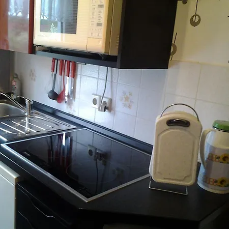 Werner * Neustadt (Vogtlandkreis)