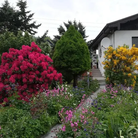 Werner Neustadt (Vogtlandkreis)