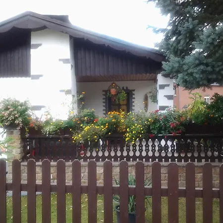 Werner Neustadt (Vogtlandkreis)